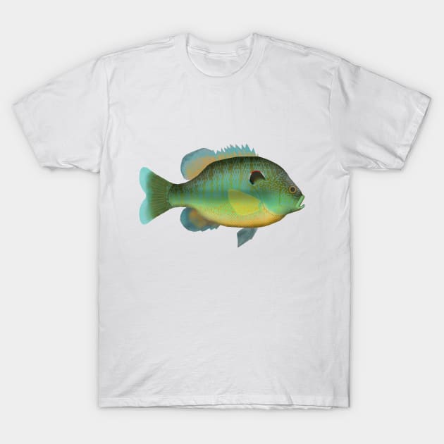 Northern Sunfish T-Shirt by FishFolkArt